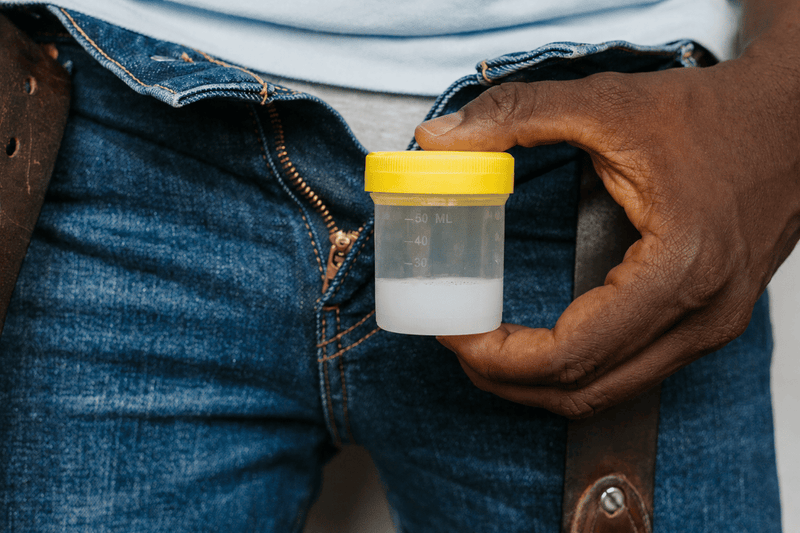 Found a Sperm Donor in ZA? Here's What You Need Next